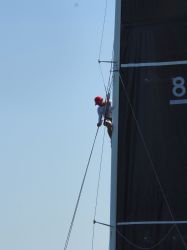 Gal 26 3 Regatta Bregenz (6)